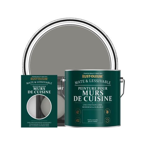 Peinture pour Murs de Cuisine, Finition Mate - Béton (1/3)