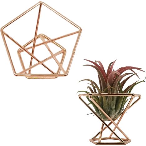 Porte Air Plant Géométrique en Métal - Support Pentagone 5.5cm Coloré (Rose Gold/Gold/Silver) - Déco Home & Event Unique (1/5)