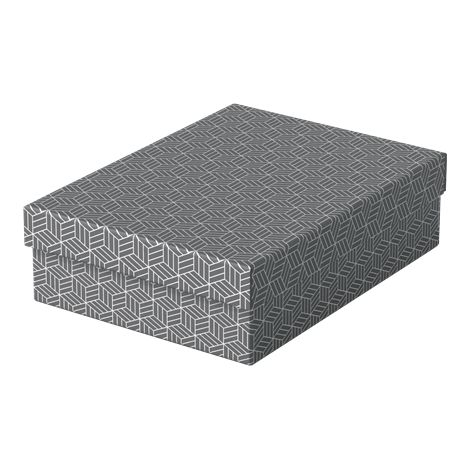 Esselte cajas de almacenamiento geométricas neutras de cartón (1/4)