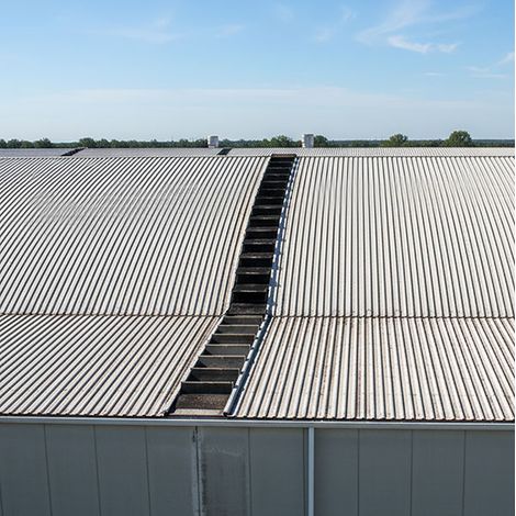 Massive Gummileiter 1.60 x 0.40m - 320501-320503