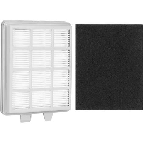 Cartouche filtrante de rechange compatible avec les aspirateurs Electrolux Z1850, Z1860, Z1870 et Z1880 (1/5)