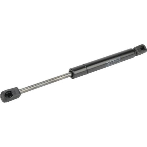 Porte/vitre avant pour bouteille de gaz (tournesol) Fendt F258514210020 (1/2)