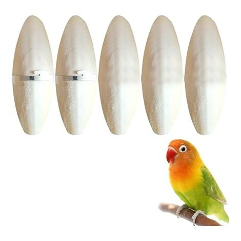 Bird Toys, Cuttlefish Bone Chew for Parrots, Suitable for Birds, Turtles and Snails, Metal Brackets Length: 11cm (1/5)