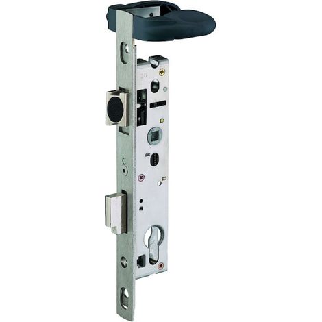Serrure 1 point pêne dormant et demi-tour pour portillon de piscine 2268 axe 26 mm - STREMLER