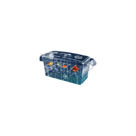 Boîte d'élevage en plastique pour poissons d'aquarium, boîte d'isolement et incubateur pour bébés crevettes-clowns et guppysBoîte d'élevage en plastique pour poissons d'aquarium (1/5)