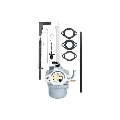 Kit carburateur compatible 796122 794593 696737 793161, ensemble complet avec pièces 20M107 20M414 et 20A113 incluses. (1/5)