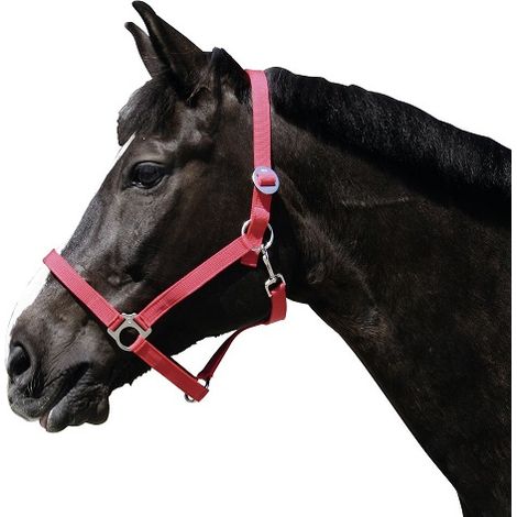 KERBL Cabezada Clásica Caballo Nylon, Rojo, Talla 3