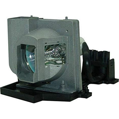 Lampe ampoule bulbe de projecteur de remplacement avec boîtier Compatible avec DP7249 / DX625 / DX733 / EP719H / EP749 / TX800 (1/5)