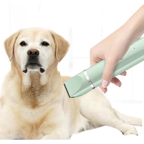 Tondeuse pour chiens et chats, tondeuse électrique silencieuse rechargeable 4 en 1, tondeuse pour animaux étanche IPX7 avec 4 peignes (verte) (1/5)