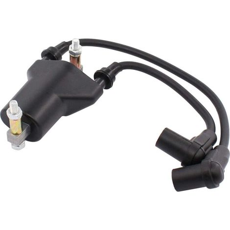 Bobine d'allumage pour EZGO Golf Cart 26652G01 (1/5)