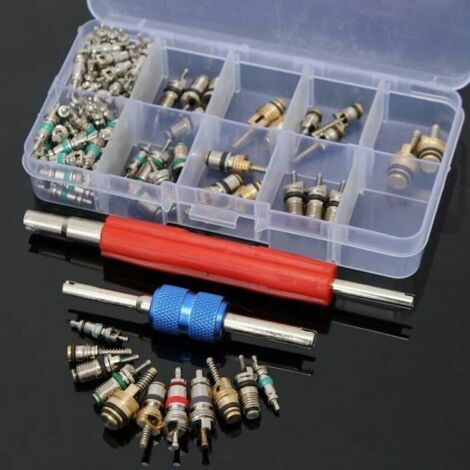 NALOOKAMIC 100x Valve Core R12/ R134A Voiture Air Climatiseur Vanne Noyau Démonte obus Kit, Ensoleillé