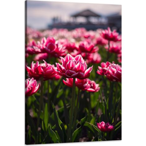 Stampa su tela Botanica Tulipani Fiori 60x90 cm Bouquet di fiori