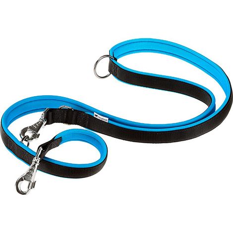 Laisse pour Chien, Laisse de Dressage pour Petit Chien, Poignée Rembourrée, Mousqueton en métal. Longueur réglable. Taille 200 cm, Bleu (1/5)