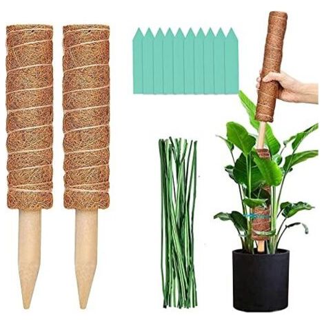 DTEKGAZ - Rankhilfe für Zimmerpflanzen, Monstera-Kokos-Pflanzenstütze, 50 cm Pflanzenstützen, Rankhilfe für Zimmerpflanzen, Moos-Pflanzenstütze, 2er-Set
