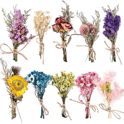 Lot de 10 Mini Bouquets de Fleurs Séchées Naturelles, Mini Fleurs Séchées, Bouquet de Fleurs Sechees, Mélange de Fleurs Séchées Naturelles pour Loisirs Créatifs Décoration D'intérieur (A) (1/5)