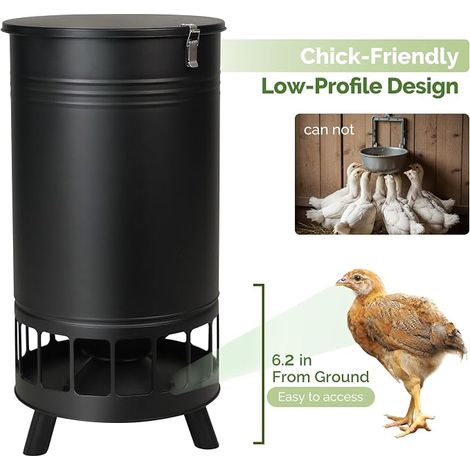 Mangeoire pour poules galvanisée Distributeur avec Orifices Capacité Seau pour Poules Canards Oies (1/4)