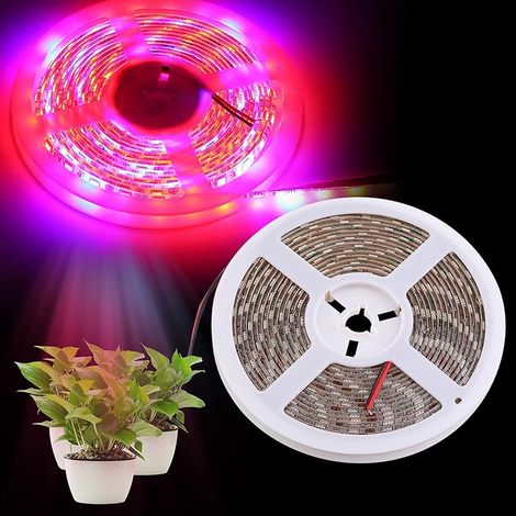 Bandes lumineuses LED pour culture de plantes, barre de lampes de culture solaire à spectre complet, adhésif étanche 12 V 16,4 m pour plantes d'intérieur, semis, plantes grasses, hydroponique (1/5)