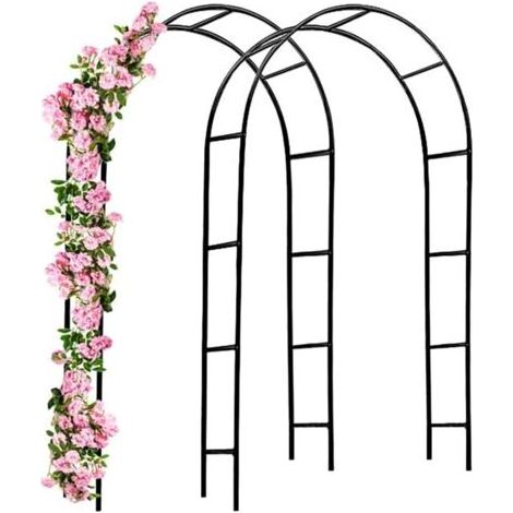 1 x Arche de jardin 240 x 140 x 37 cm pour plantes grimpantes, arche à rosiers, piquet, décoration extérieure (1/5)
