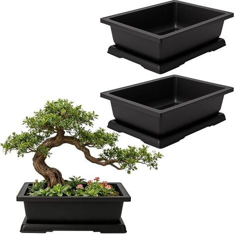 Lot de 3 pots à bonsaï rectangulaires en plastique avec soucoupe - Pour l'intérieur et l'extérieur - 36 x 26 x 10,6 cm (1/5)