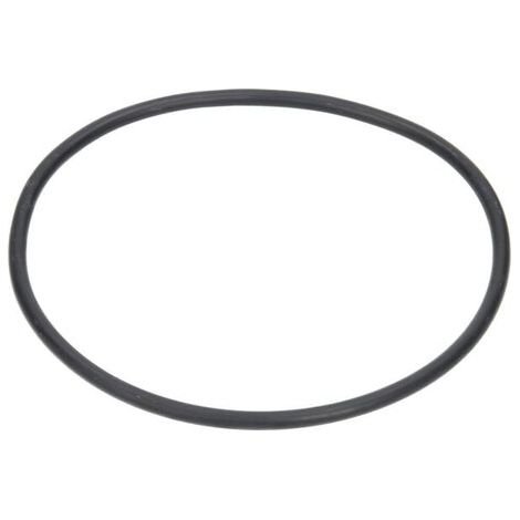 O-Ring für Filter 319 ARAG G11052 (1/2)