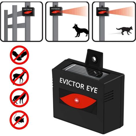 Répulsif Solaire Ultrason pour Animaux Nuisibles Chats Renards (1/4)