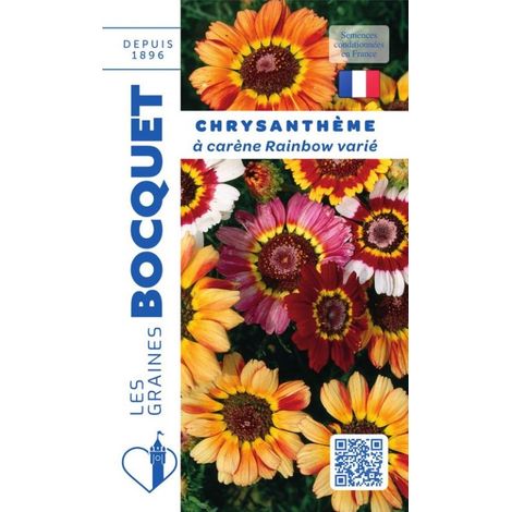 Chrysanthème à carène Rainbow varié - 2g