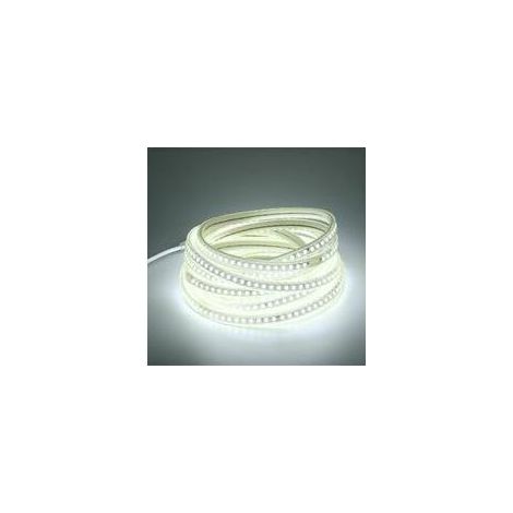 RHG 5M Ruban LED Pour Exterieur 220V 6000K Blanc Froid 5 Metres IP67 Etanche Bandeau Lumineuse a LED (Blanc Froid, 5M)