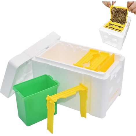 Boîte de soutien pour reine d'abeilles - 1 unité - Mousse et polypropylène - Isolation thermique et protection - Apiculture débutants et experts - 24x15x16,5 cm (1/5)
