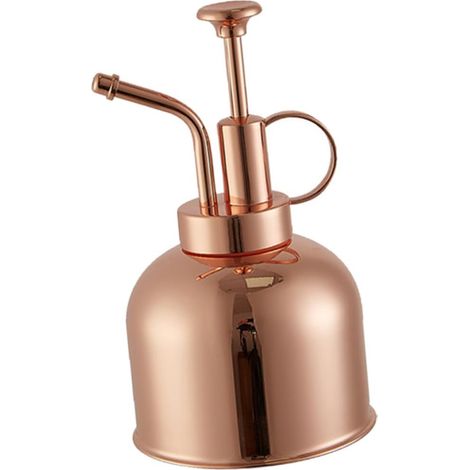 en M tal Inoxydable 304 R tro pour Jardinage Arrosoir De (1/5)