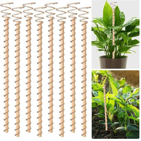 Lot de 8 tuteurs cuivre 34 cm – Antenne spirale, anneau – Électroculture – Pour plantes potagères (1/5)