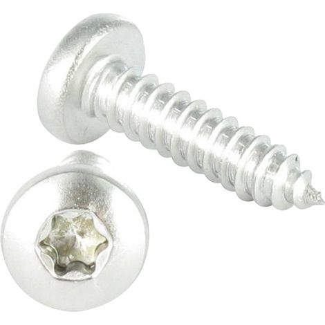 Vis tôle tête cylindrique bombée large 4.8X13 Inox A2 TORX T25 RAL7006-1 pièce (1/2)