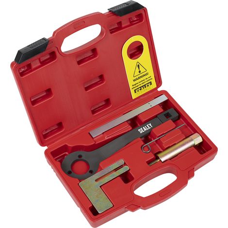 Sealey Petrol Engine Balance Shaft Alignment Tool Kit - for BMW, BMW Mini, Citroen, Peugeot - Chain Drive VSE6156