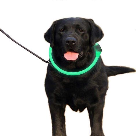 Verstellbares LED-Leuchthalsband für Hunde, USB-aufladbar, für die Sicherheit Ihres Haustieres bei Nacht, stilvolles Halsband für kleine, mittlere und große Hunde (USB)