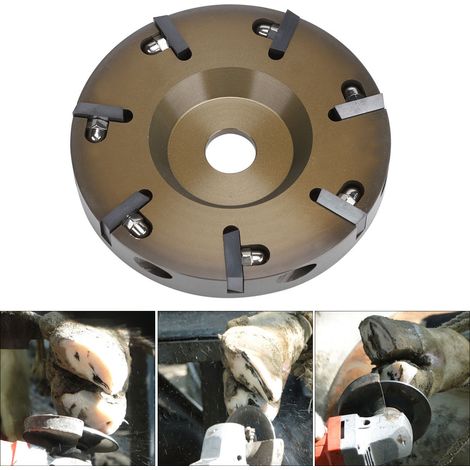 Disque à onglons électrique en alliage d'aluminium pour bovins, ovins et équidés, outil de parage avec 7 lames (1/5)