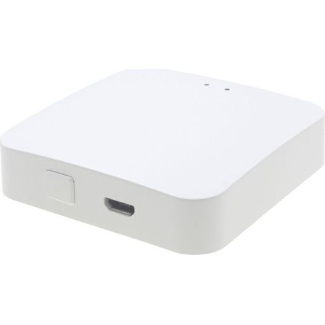 Passerelle ZigBee 3.0 sans fil Télécommande vocale compatible Alexa et Google Home Réseau stable et sécurisé Gestion via application Smart Life