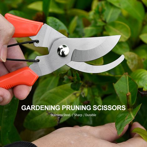 Sécateur, cisaille à élaguer professionnelle, ciseaux de jardinage, lame en acier inoxydable, coupe-bonsaï, poignées antidérapantes, kit d'outils de jardinage pour plantes, rosiers, fleurs, arbres fru