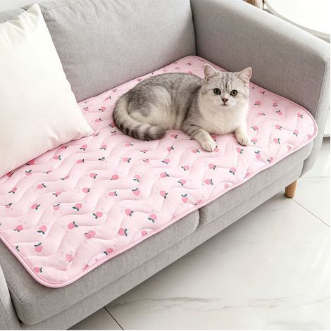 Tappetino rinfrescante per gatti e cani di piccola taglia, tappetino auto-rinfrescante traspirante e refrigerante per animali domestici, cuccia e materassino per dormire rosa XL: 100 x 70 cm Rosa (1/5)