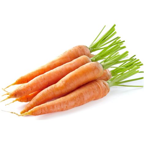 Semi per Ortaggi e Vegetali Carota Lunga Nantese 2 Sgaravatti 20 Pezzi (1/3)