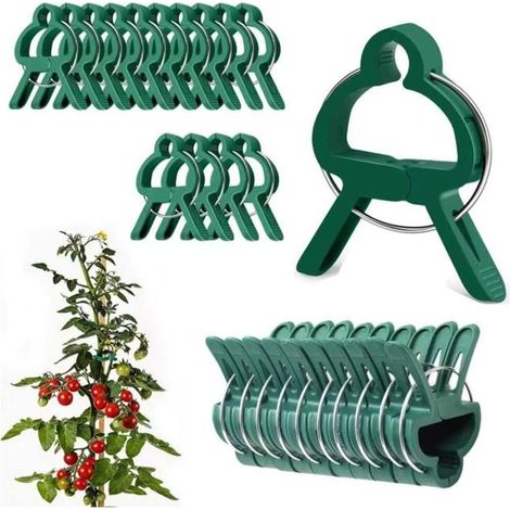 100 pinces à plantes pour attacher tomates et grimpantes, 50 grandes + 50 petites (1/5)