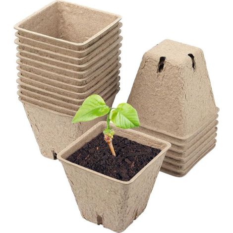 Pots de Culture 50 pièces en cellulose Hauteur : 6 cm Biodégradable Pot de Culture Pots de Culture (1/3)