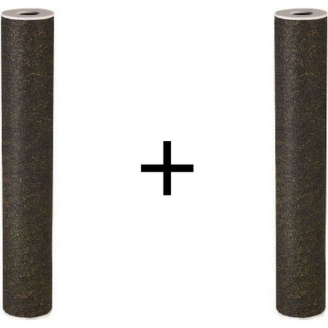Orion – Lot de 2 filtres à charbon actif 10 microns pour centrale de traitement d'eau PROTEO 2 – Élimine pesticides et chlore