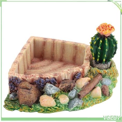 Plat d'alimentation pour reptiles, bol d'eau, assiette en résine écologique, décoration de lézard avec Design pour Aquarium, décor (1/4)