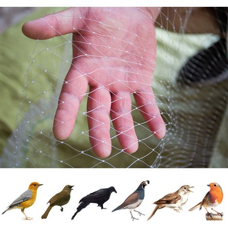 [Filet de Protection pour Jardins et Cultures] [Jardinier Pro] [Type Standard] [Filet Anti-Oiseaux Nylon Durable 1.8x7.6m Blanc] (1/5)