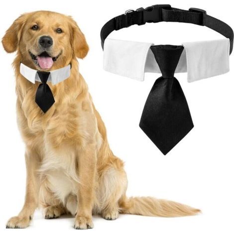 Cravatta per cani, 1 confezione di cravatta in cotone nero con fibbia regolabile per cani di taglia media e grande, taglia M (1/4)