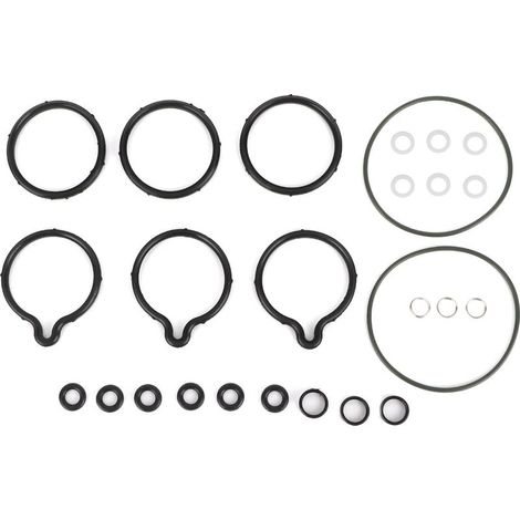 Kit de réparation pour pompe à carburant haute pression Alfa Romeo 0445010002 (1/5)