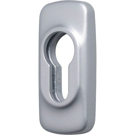 Anti-Diebstahl-Zylinderrosette 2100B FAPIM - Grau G6 - 2100BG6