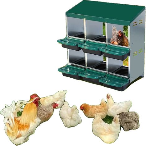 Caisse de Nidification pour Poules, Design à Rouleau, Structure à 6 Compartiments, vert (1/2)