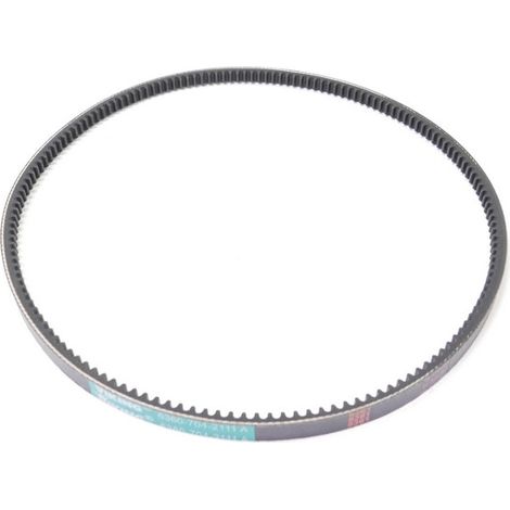 Stihl – Courroie crantée d'avancement pour tondeuse Viking – Accessoire compatible MB 650/655 – Longueur 63607042111 (1/3)