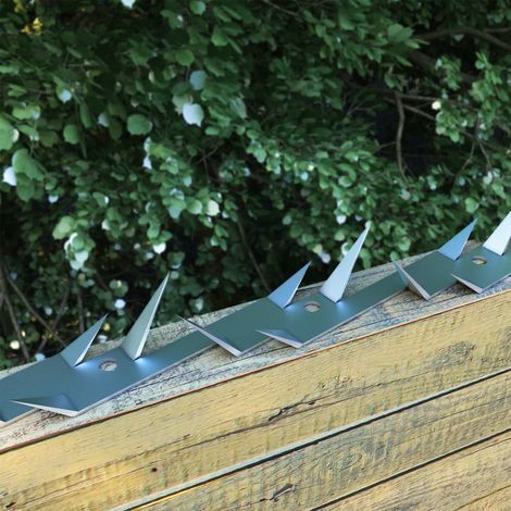 Bande crantée, protection anti-escalade, 25 pièces, acier, 1 m (1/4)