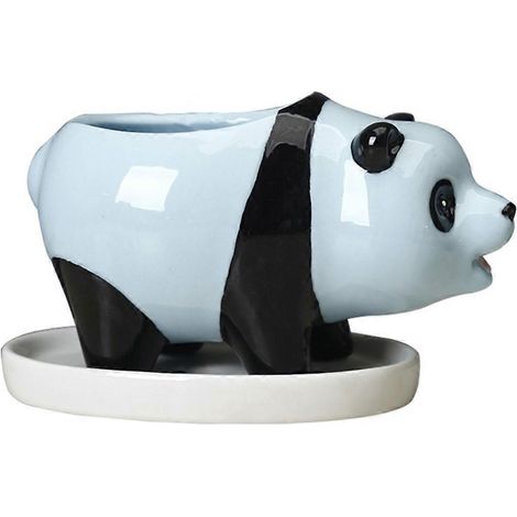 Keramikpanda für Sukkulenten, dekorativer Blumentopf, Behälter für Sukkulenten, Wohnaccessoire.